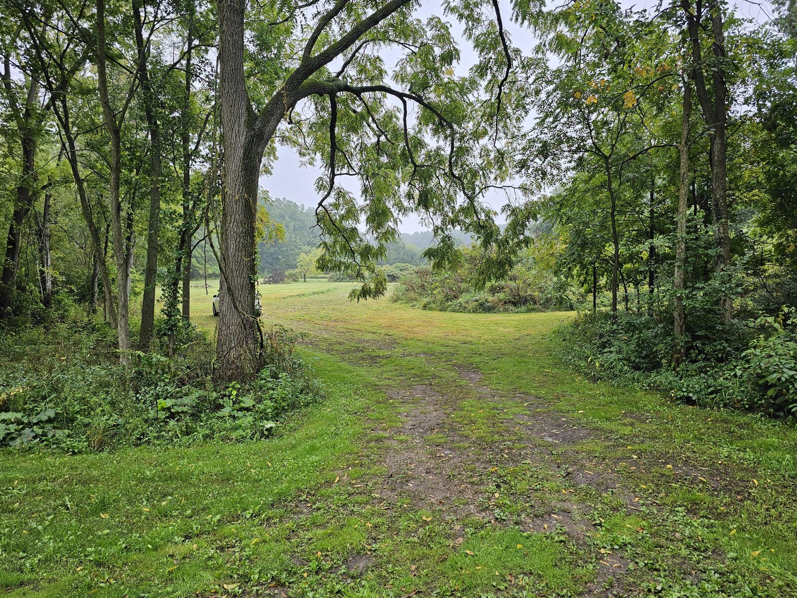 Property Photo:  0 Vrooman Road  MI 49201 
