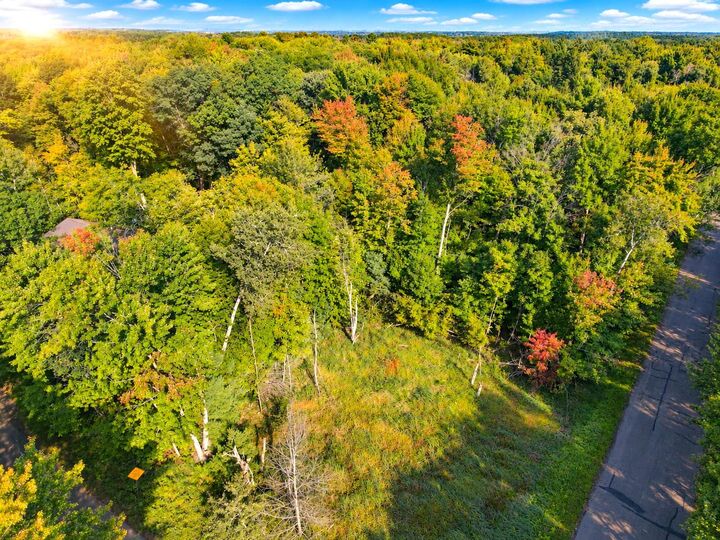 Property Photo:  Lot 1 &Amp 2 Bluegill Avenue N  WI 54893 