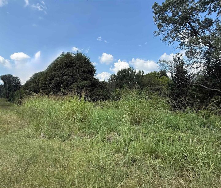 Property Photo:  4.6 Acres Hwy 278  AL 35055 
