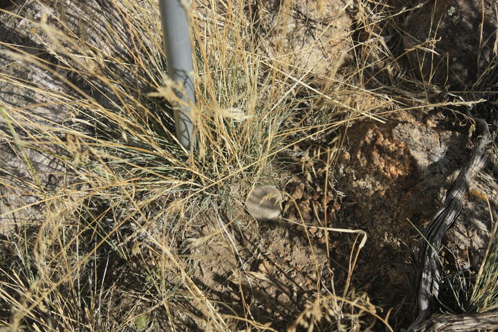 Property Photo: 153 S Terry Parkway 75 UT 84781