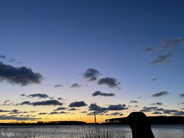 Property Photo:  0 Cassons Neck Road  MD 21613 