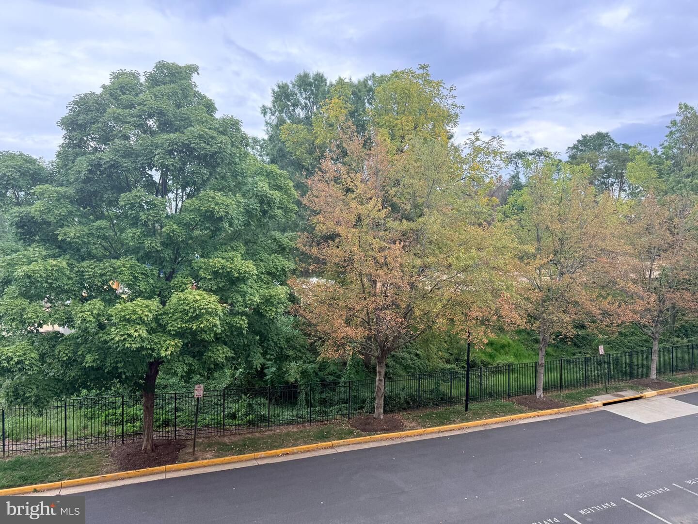 Property Photo: 7000 Falls Reach Drive 203 VA 22043