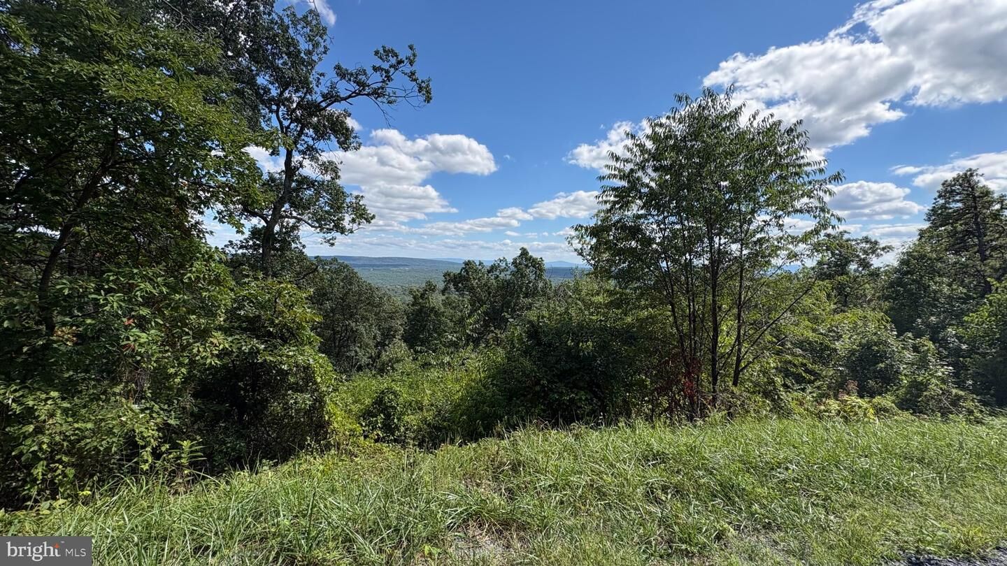 Property Photo:  Lot 114 Tomahawk Trail  VA 22602 