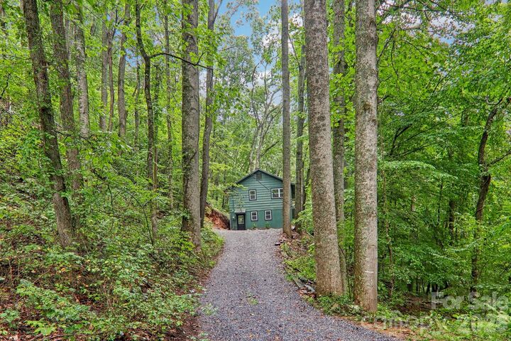 Property Photo: 152 Dream Mountain Boulevard NC 28716