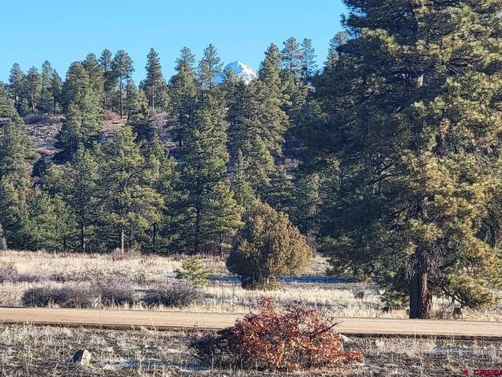 Property Photo:  642 Trails Boulevard  CO 81147 