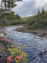 Property Photo:  62A Country Road  NL A0L 1C0 