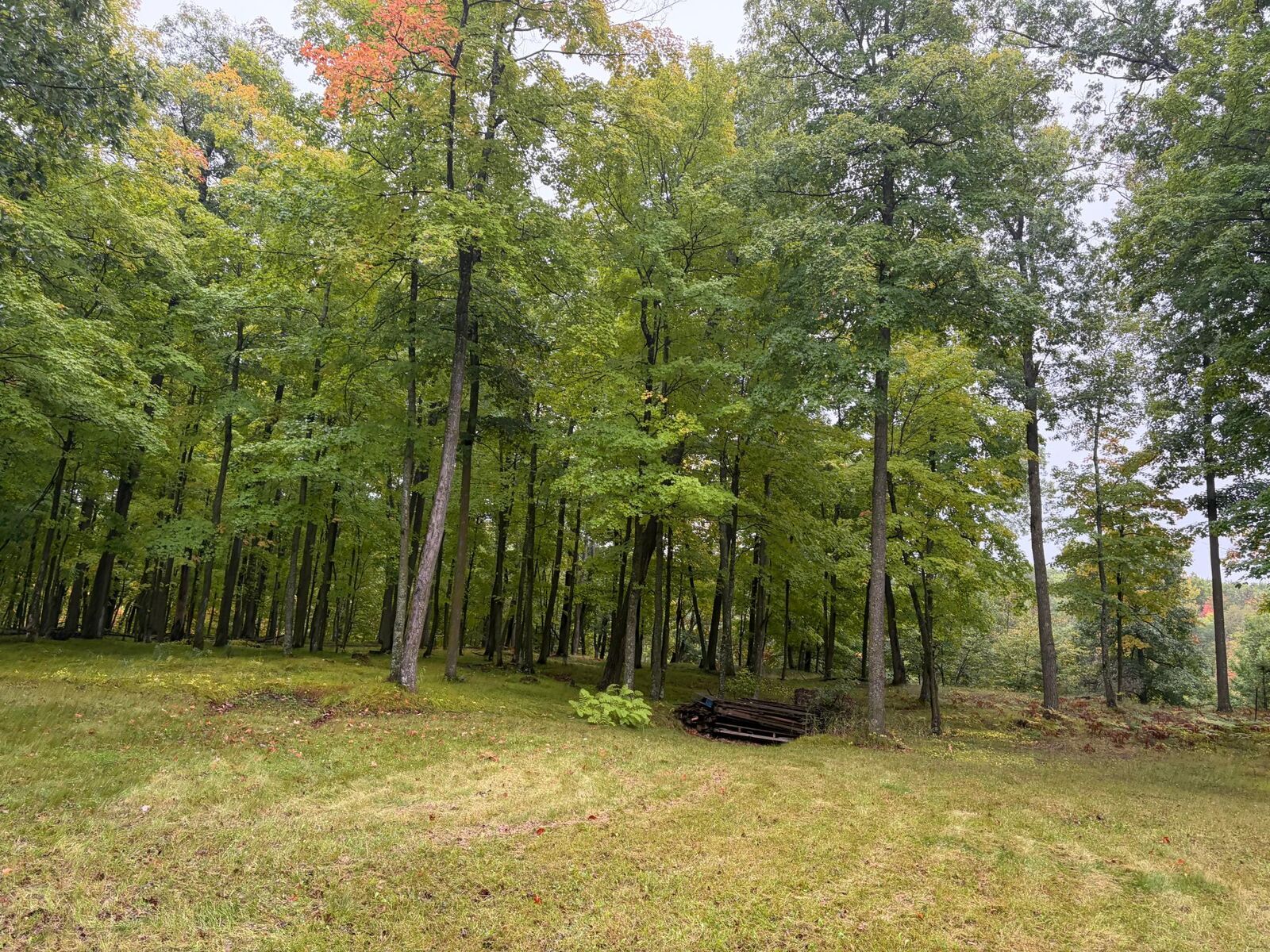 Property Photo:  Tbd 116th Lane  MN 55735 