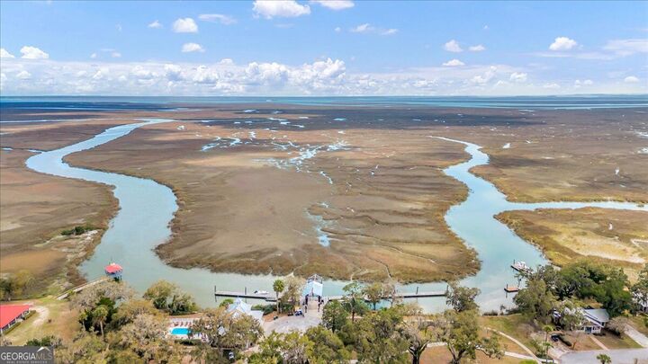 Property Photo: 54 Salt Marsh Drive GA 31320