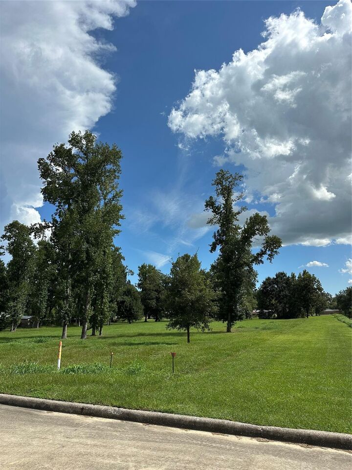 Property Photo:  1 Lovers Lane  TX 77535 