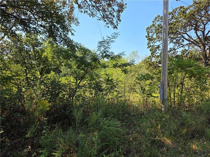 Property Photo:  000 E Abbott Road  MO 64783 