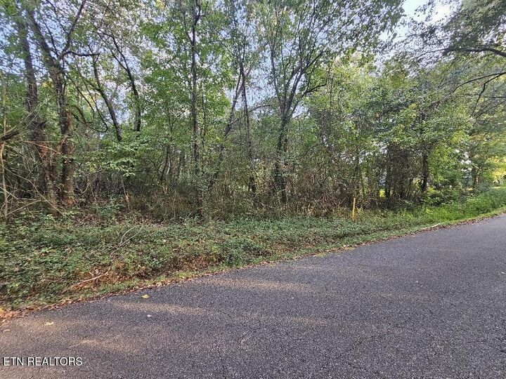 Property Photo:  Lot# 96 River Rd  TN 37763 