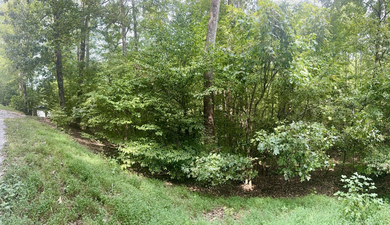 Property Photo: Lot 24E, Lot 25E, Lot 26E Parkersville Road KY 42038