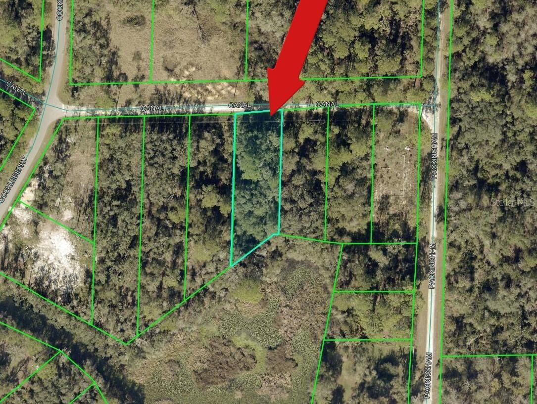 Property Photo:  N Canal Street  FL 33597 