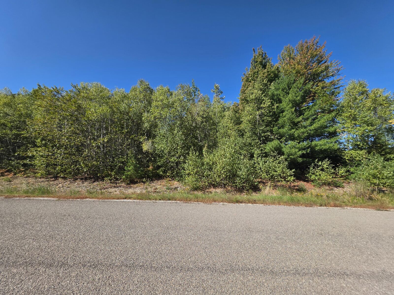 Property Photo:  301 Tamarack Trail  ME 04401 