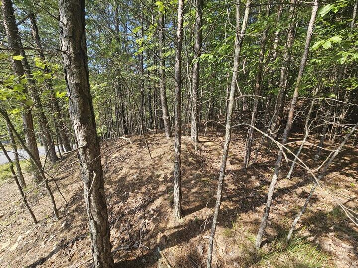 Property Photo:  Lot 76 Wildcat Drive  NC 28906 