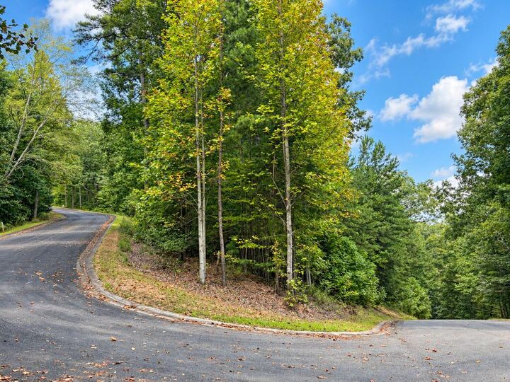 Property Photo:  35 Saw Blade Lane  GA 30540 