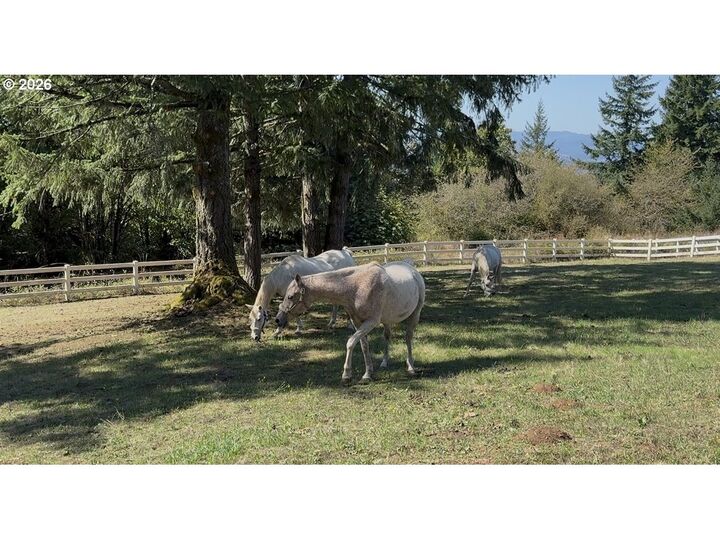 Property Photo:  21030 NE Bald Peak Rd  OR 97123 