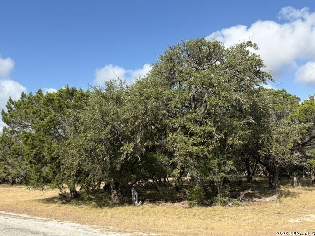 Property Photo:  Lot 59 Mustang Crossing Dr.  TX 78063 