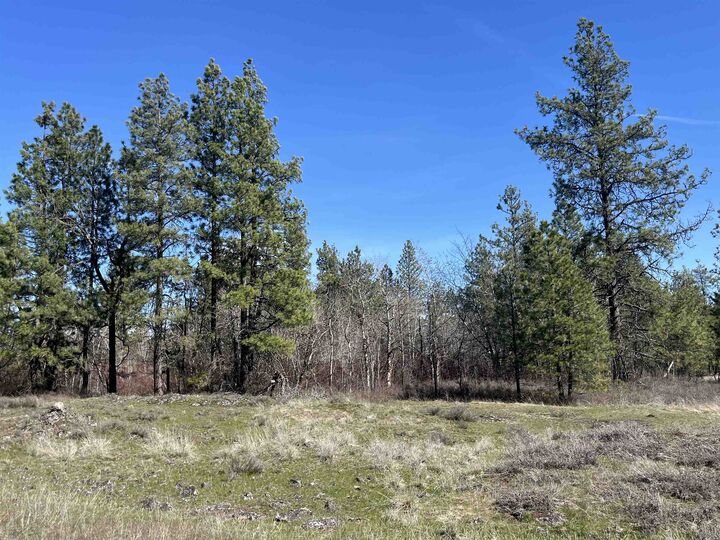 Property Photo:  249015 W Kitt Rd  WA 99029 