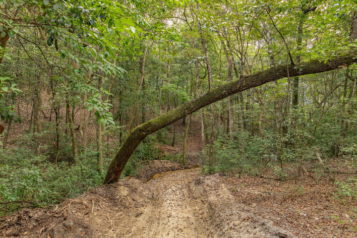 Property Photo: 0 Power Dam Road AL 36352