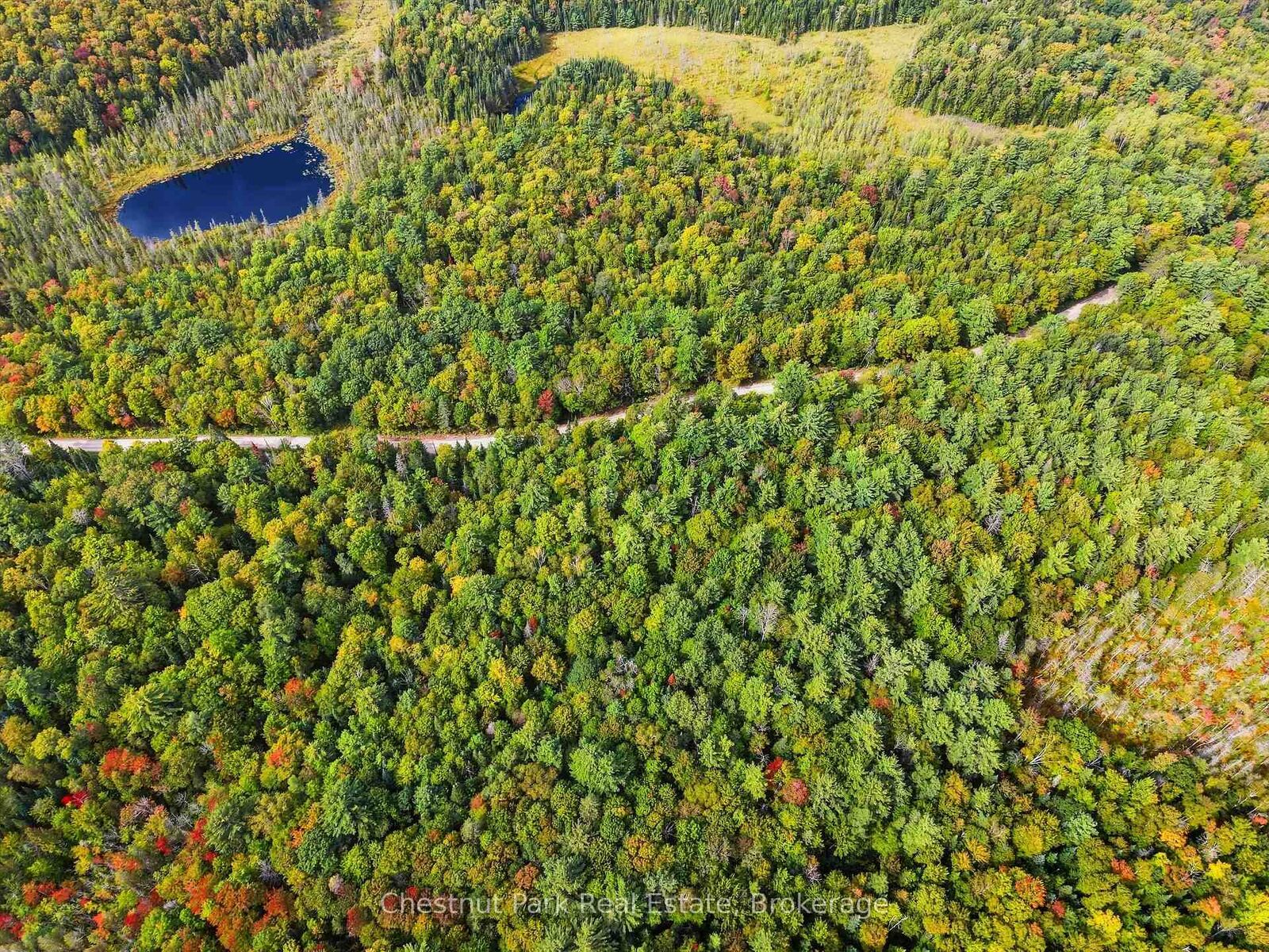 Property Photo:  00 Paint Lake Road  ON P0B 1A0 