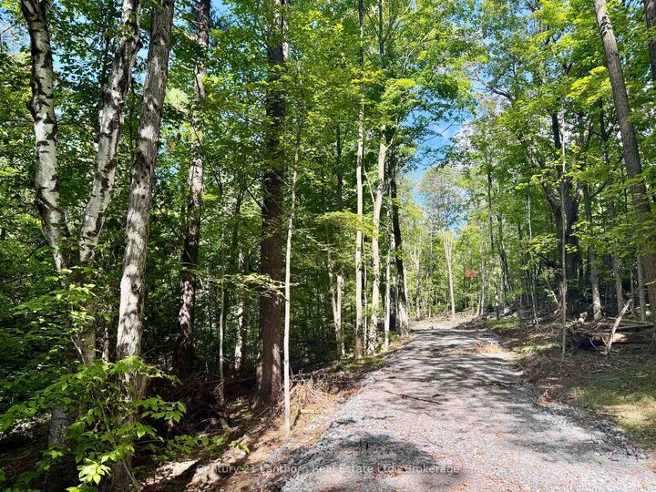 Property Photo:  00 North Lot Highway 62 N/A  ON K0K 2K0 