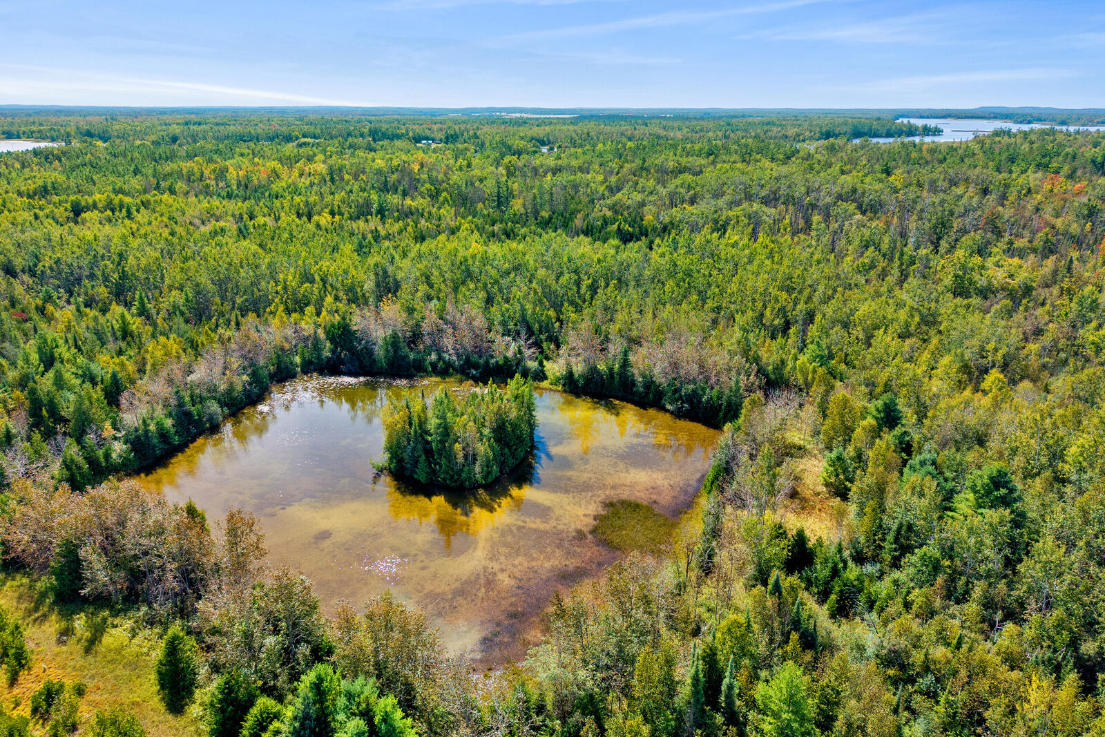 Property Photo:  3266 Long Rapids Road  MI 49707 