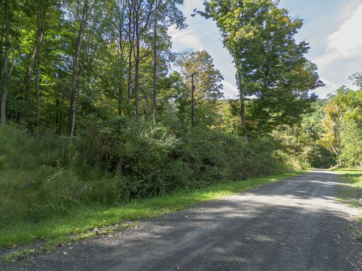 Property Photo: 434 Shipman Road NY 13812