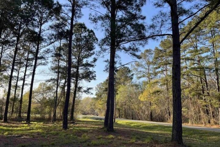 Property Photo:  2108 Lees Landing Circle  SC 29526 