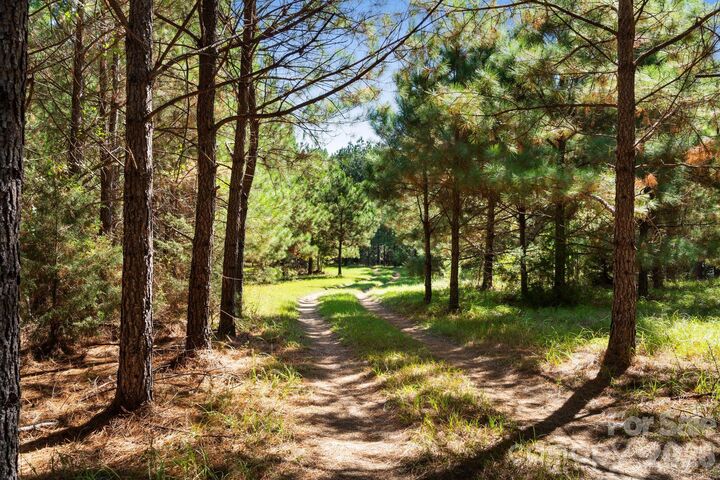 Property Photo:  0000 Hwy 215 Highway N  SC 29015 
