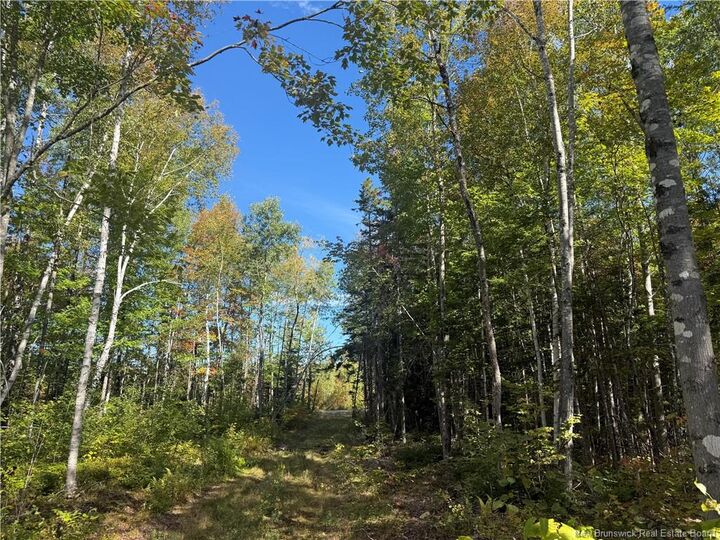 Photo de la propriété: Lot Bettsburg Road NB E9C 0A8