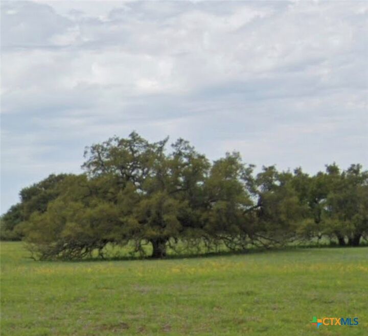 Property Photo:  Tbd State Highway 123 S  TX 78160 