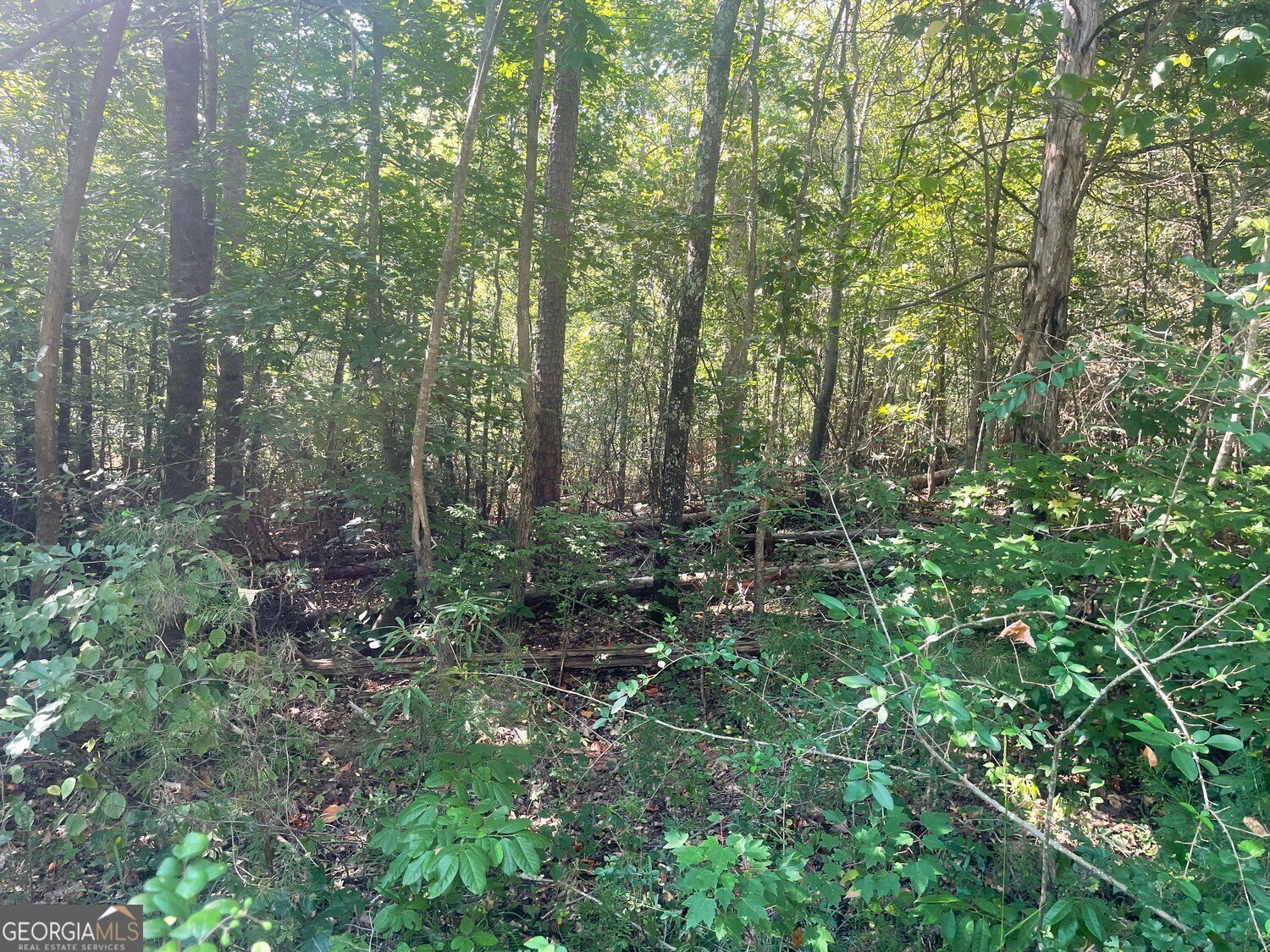 Property Photo: 0 Apache Trail GA 30557