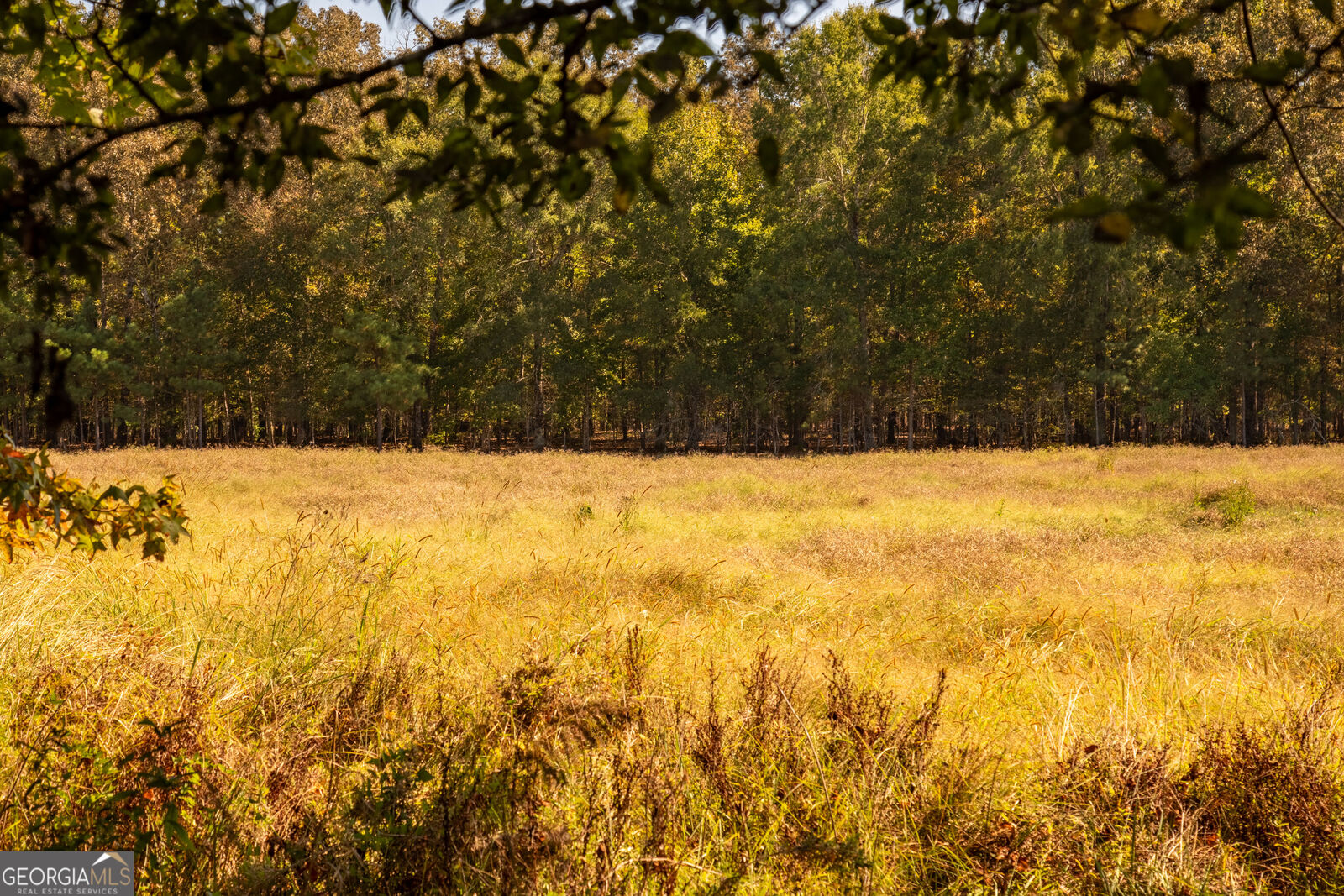 Property Photo: Tracts 10,11,12 Livingston Rd SW GA 30161