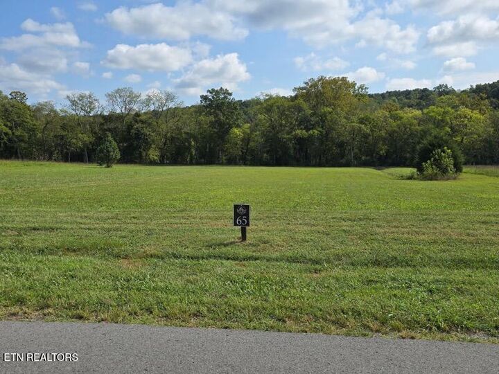 Property Photo:  River Ridge Drive  TN 37327 
