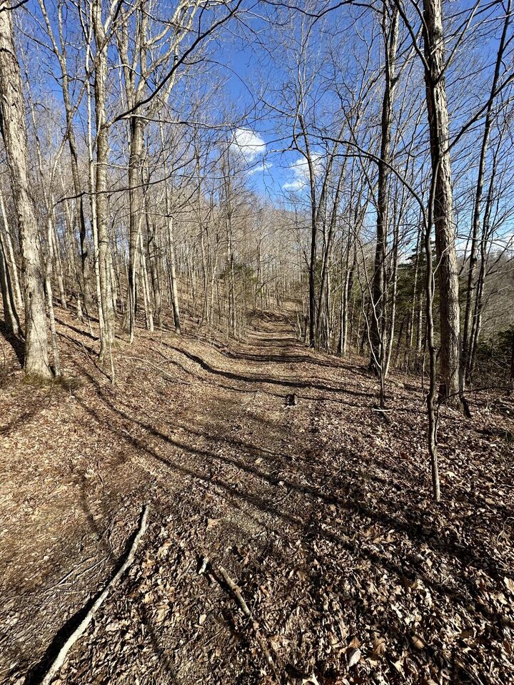 Property Photo: 5 Malone Ridge Road KY 42602