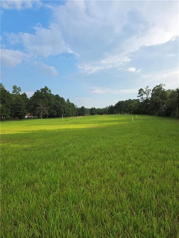 Property Photo:  0 Grand Bay-Wilmer Road  AL 36695 
