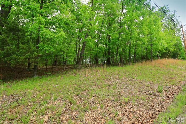Property Photo:  782 Village Green Drive  MO 63357 