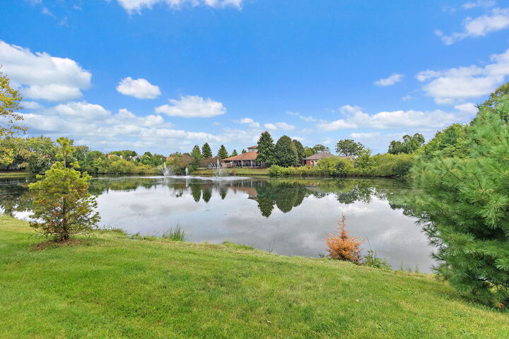 Property Photo:  393 Lowell Drive 393  IL 60177 