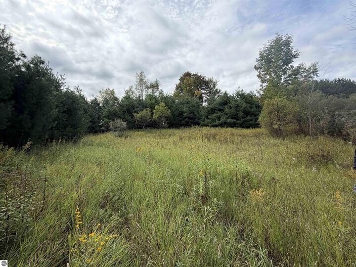 Property Photo: V/L 185th Avenue MI 49655