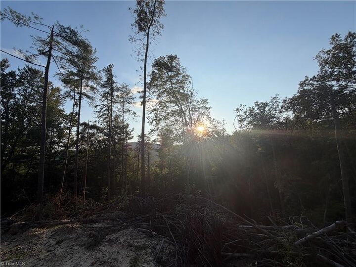 Property Photo:  Tbd Lot 2 Old Nc Highway 16  NC 28651 