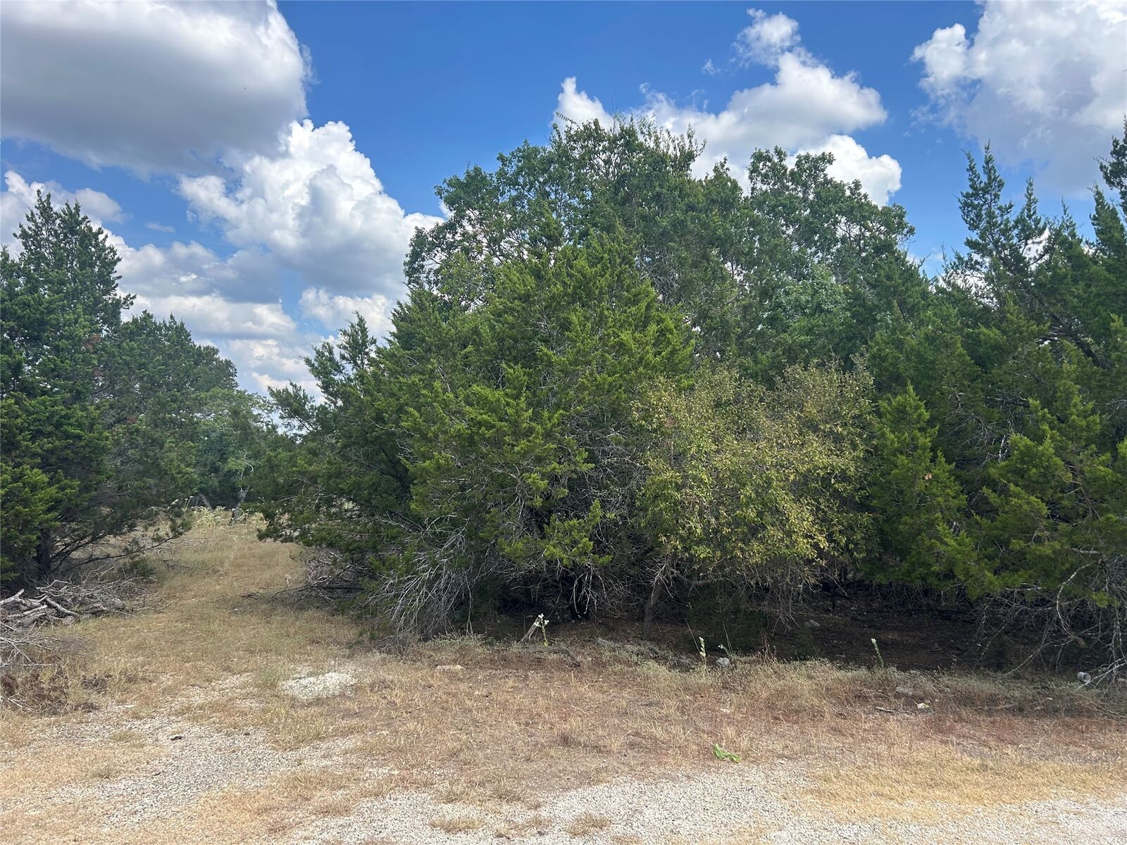 Property Photo: 76 Deer Ridge Road TX 78676