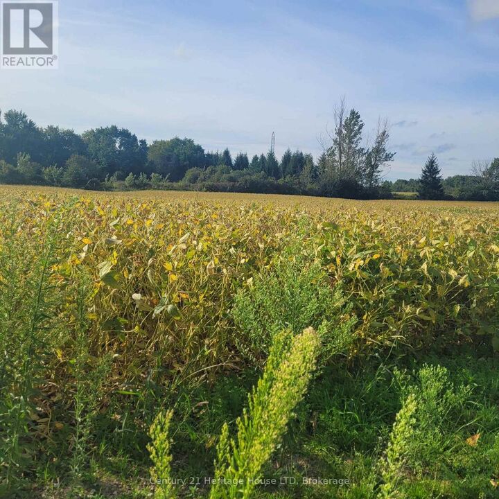 Property Photo:  2361 Merrittville Highway  ON L0S 1E6 