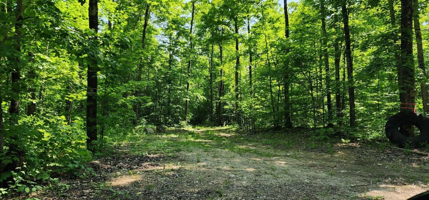 Property Photo: 80 W Trophy Ln MI 49745