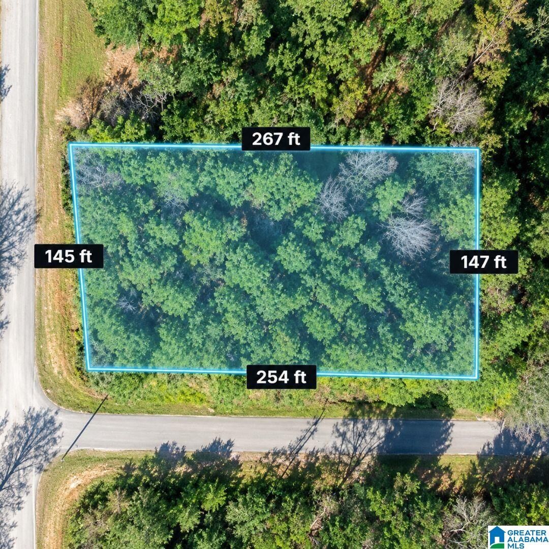Property Photo:  119 Sunshine Drive 7  AL 35749 