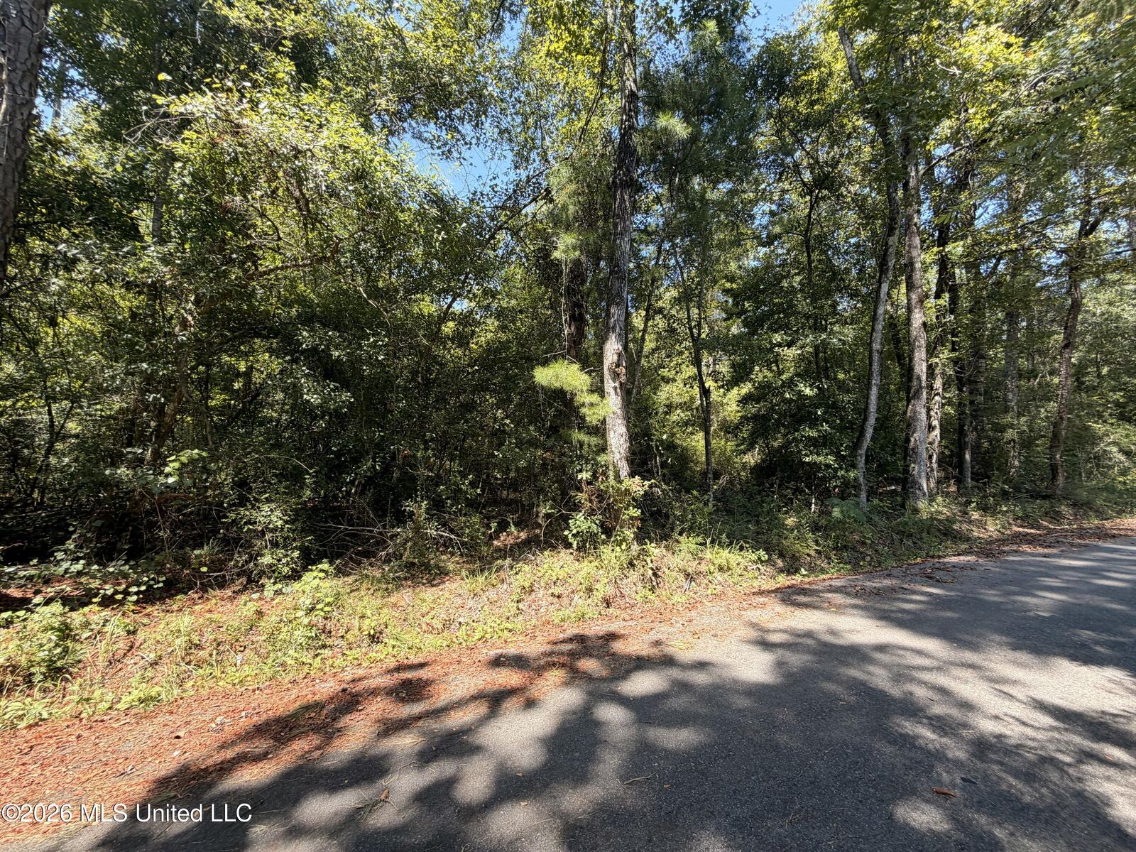 Property Photo:  Bobwhite Lane  MS 39452 