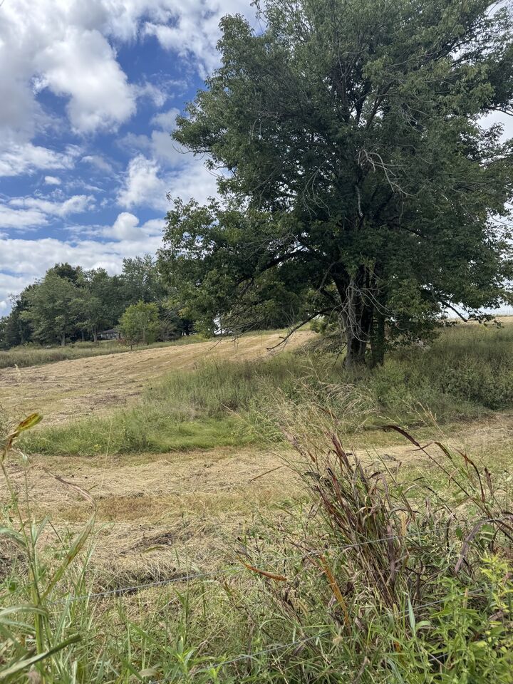 Property Photo:  201 Perrigo Ln  TN 37083 