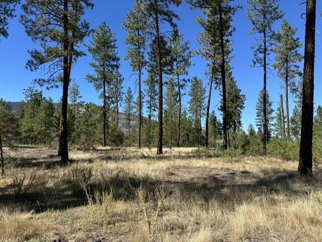 Property Photo:  1188 L Fumi Cir  WA 99141 
