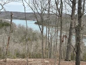 Property Photo:  Tbd County Road 152 And County Road 1524  AR 72632 