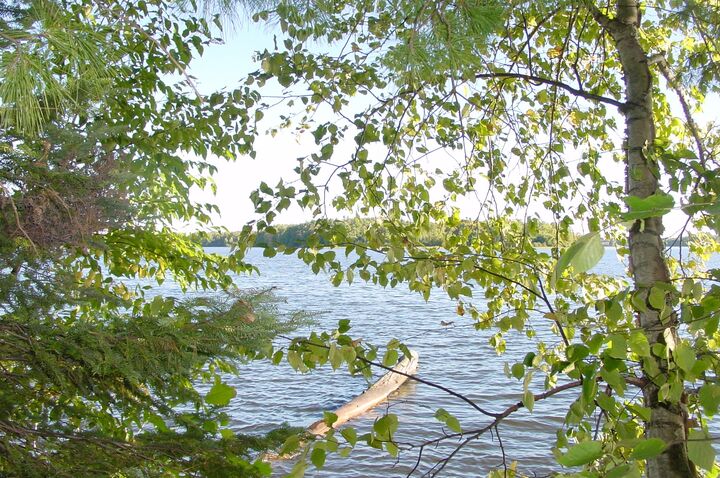 Property Photo: Lot 6 Mae West Road WI 54848